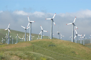 spend less money environmentally friendly