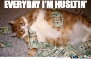 Cat with money