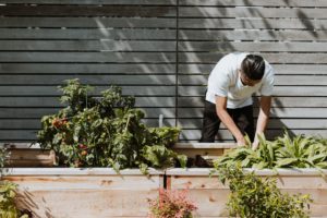 Gardening as hobby